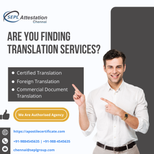 Translation Services